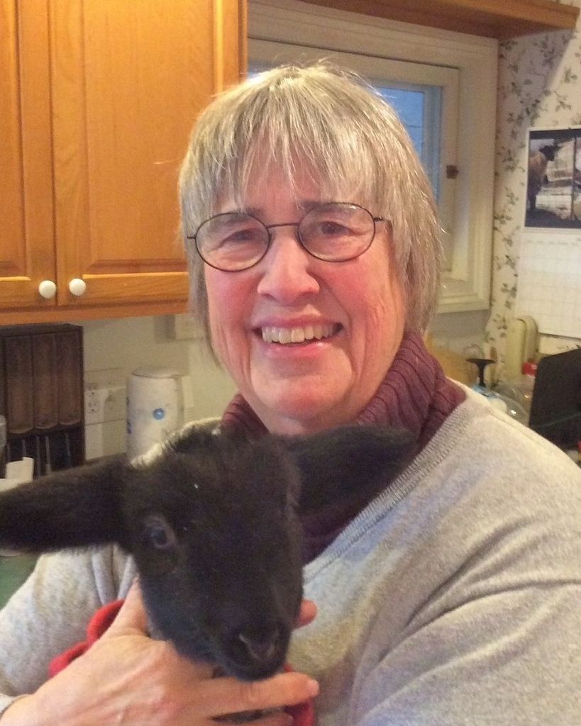 Jane Hough Ferguson