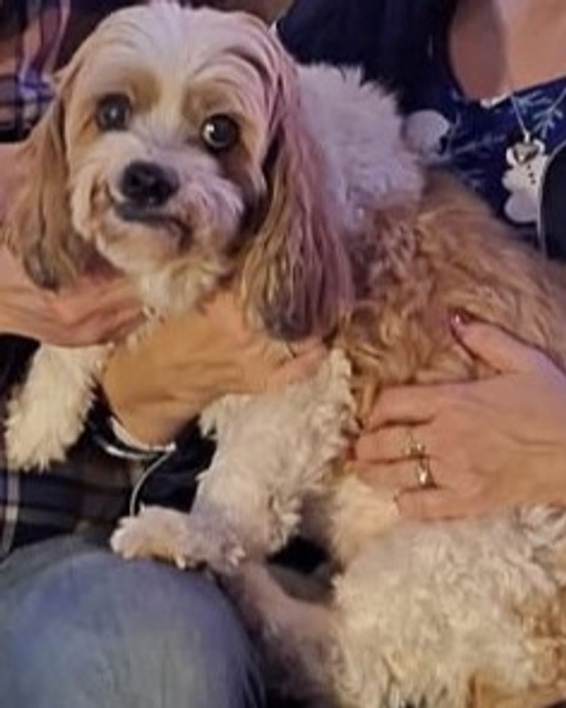 Benny Profile Photo