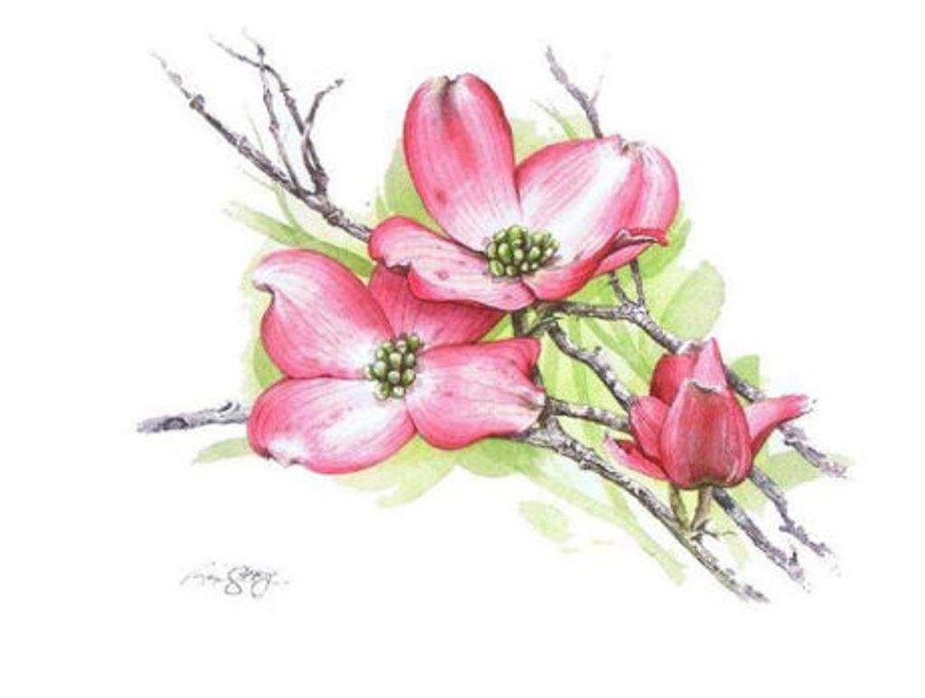 Jean Cole