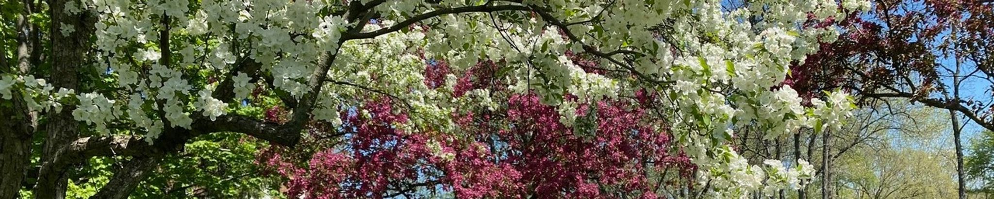 Cover for James "Jim" Daniel Hogan's Obituary