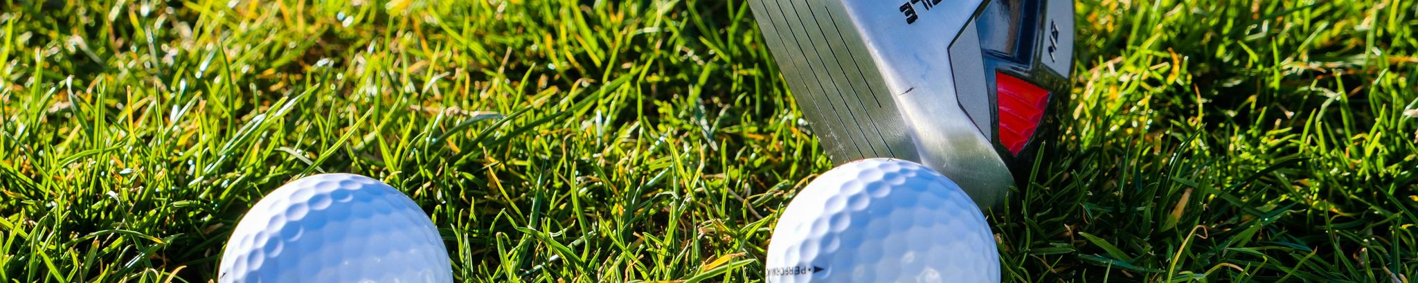 Cover for Harvey Leonard Hornish's Obituary