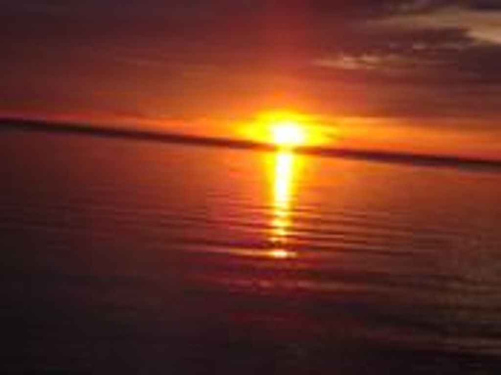 Michael E. Bissonnette