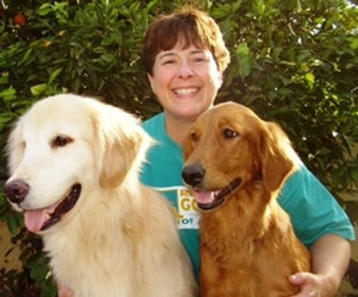 Andrea Van Dreese Profile Photo