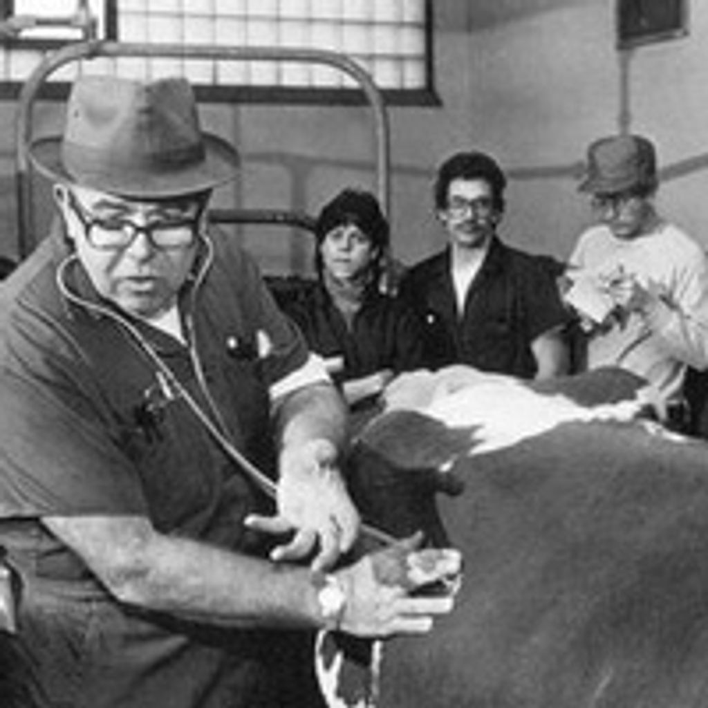 Francis H. Fox Dvm