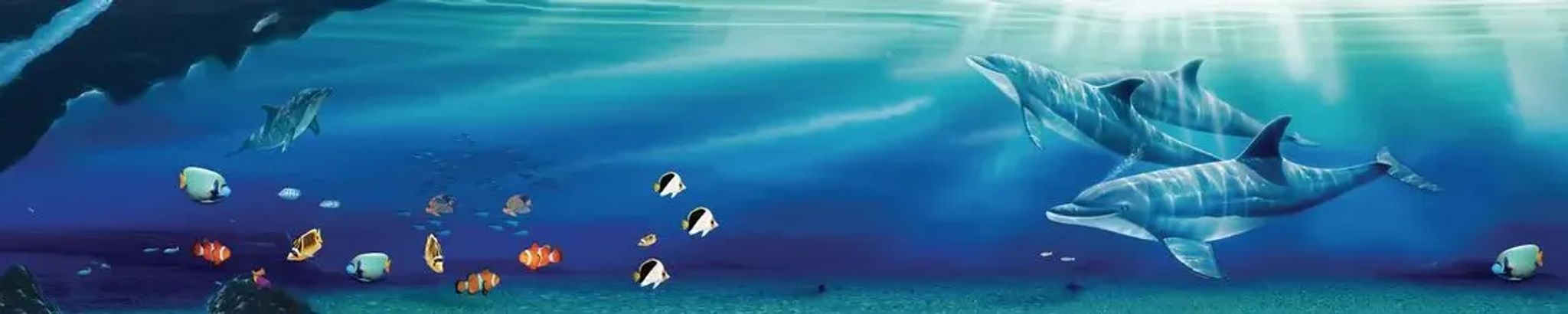 Cover for Elizabeth Francis Williams's Obituary