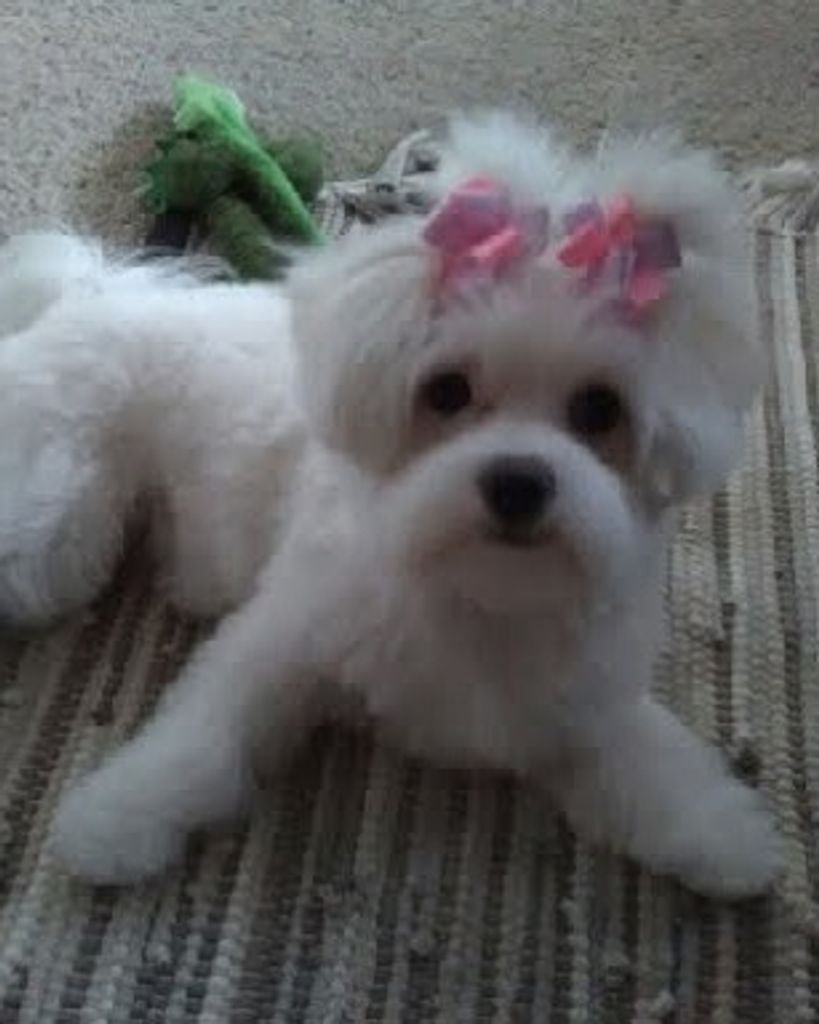 Mazzy Simpson Profile Photo