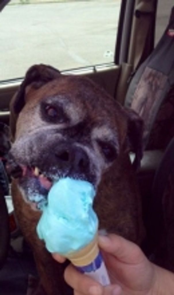 Missy Hartman Profile Photo