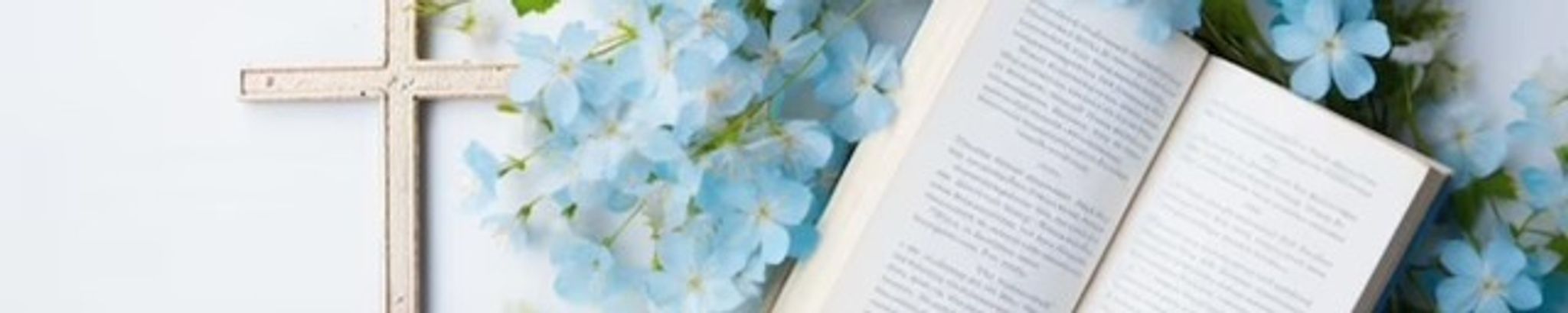 Cover for Jane E. Dooley's Obituary