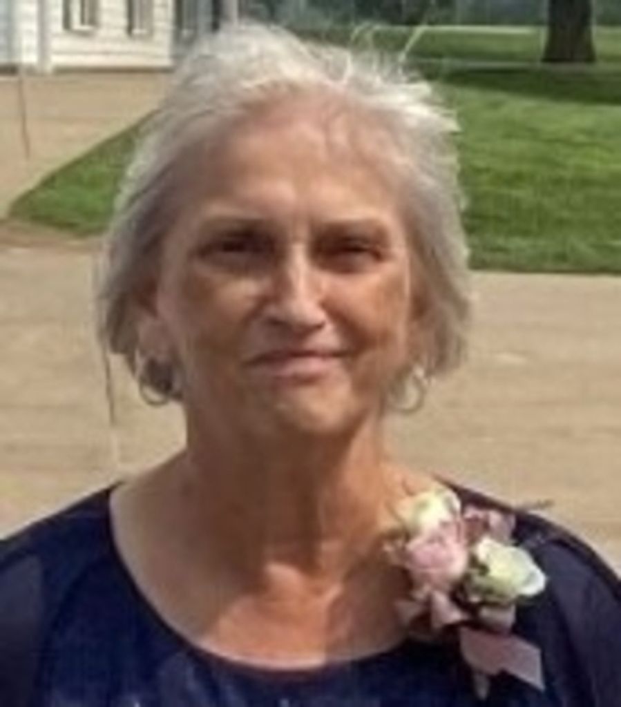 Mary  Ann Mattson Profile Photo