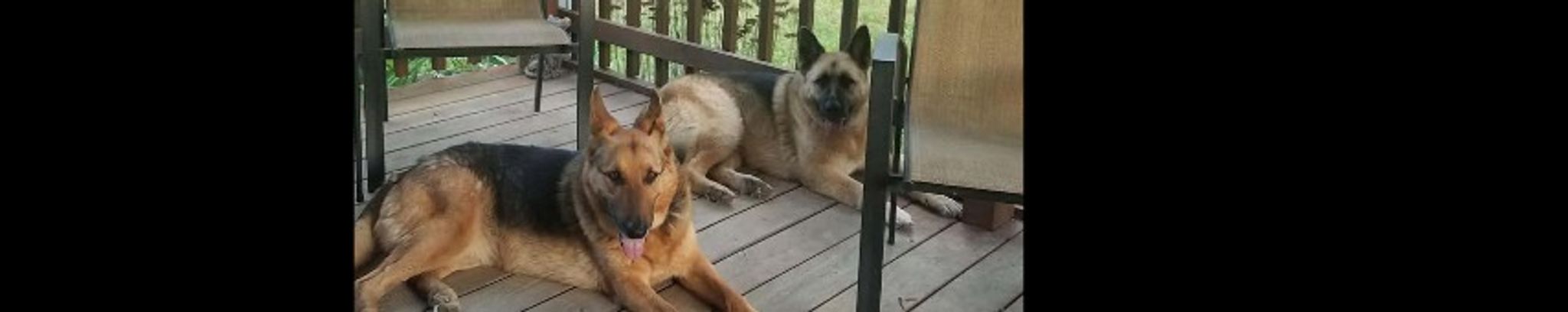 Cover for Michael "Mike" W. Chaney's Obituary