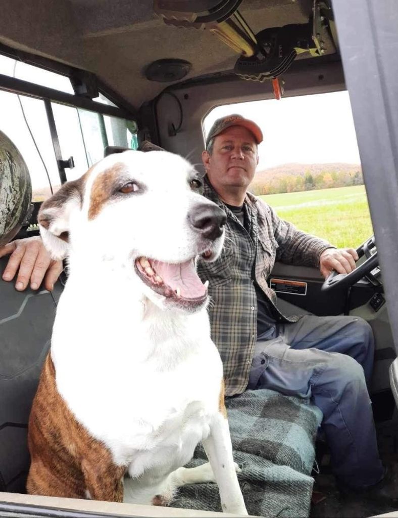 Todd Abel Grant Profile Photo