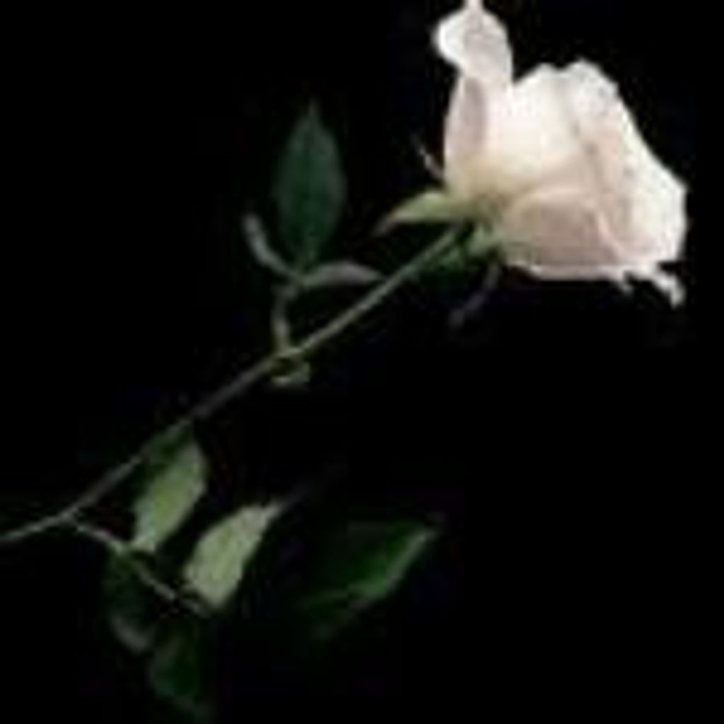 Joanne M. Sheroke