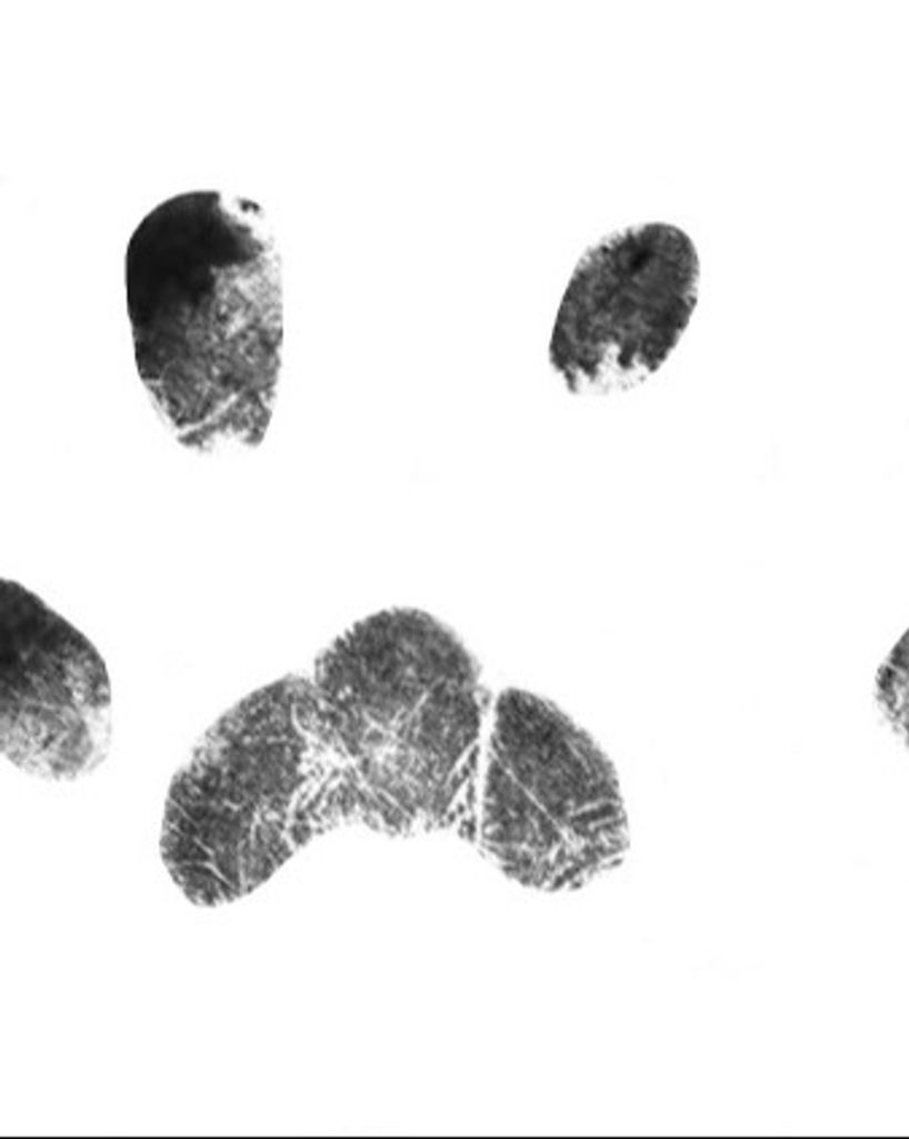 Carl D'Arcy Profile Photo