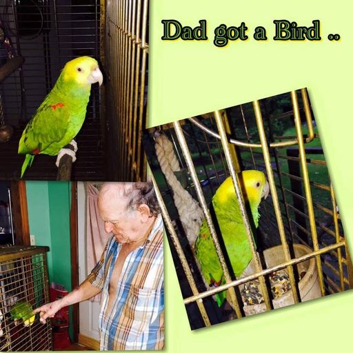 Gerald Wayne Lazarus, Sr. photo gallery thumbnail 19 of 27