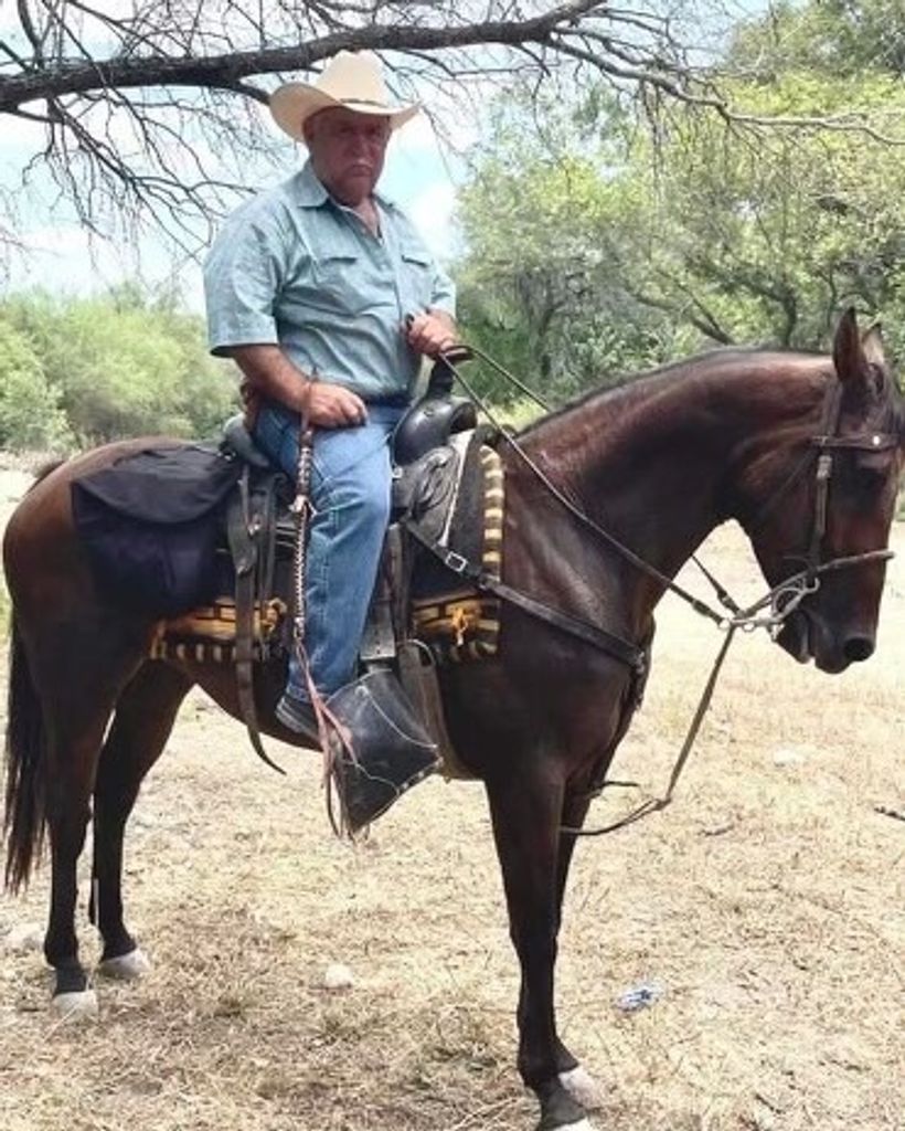 Sixto "Toti" Rodriguez Chapa, Sr.
