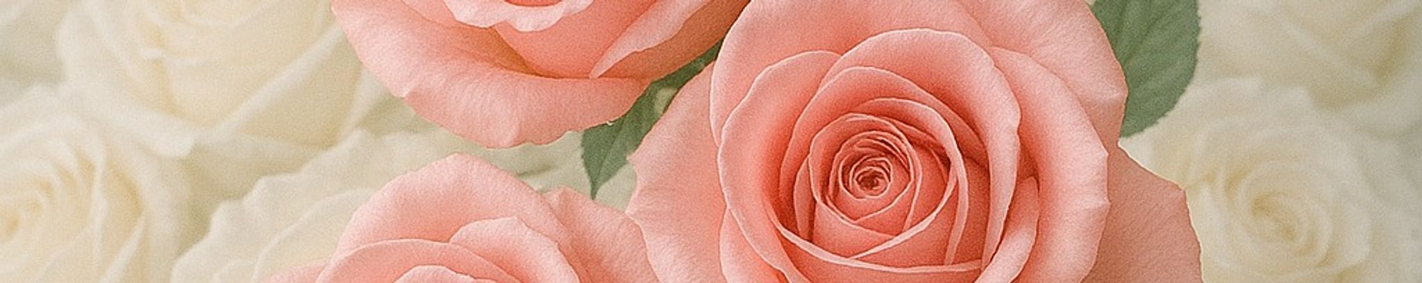 Cover photo for Vera Parker's Obituary