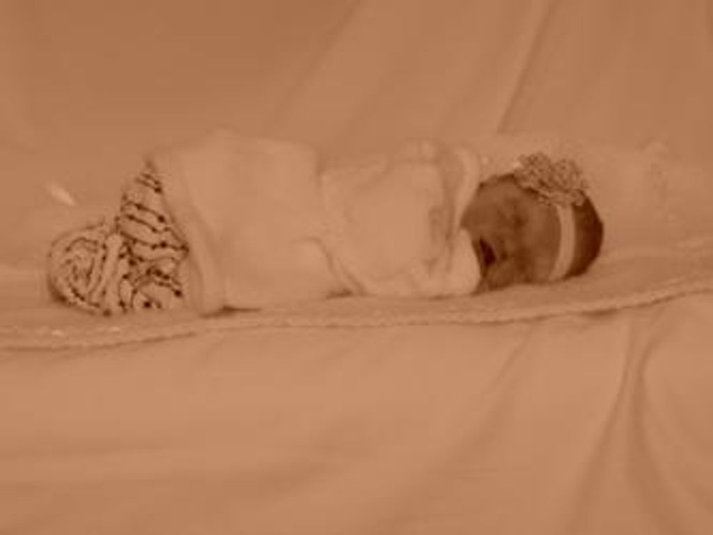 Brynlie Rose Travis