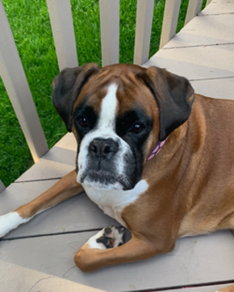 Ruby Berton Profile Photo