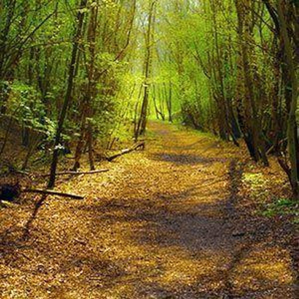 Kurt "Wolfman" Thoemke