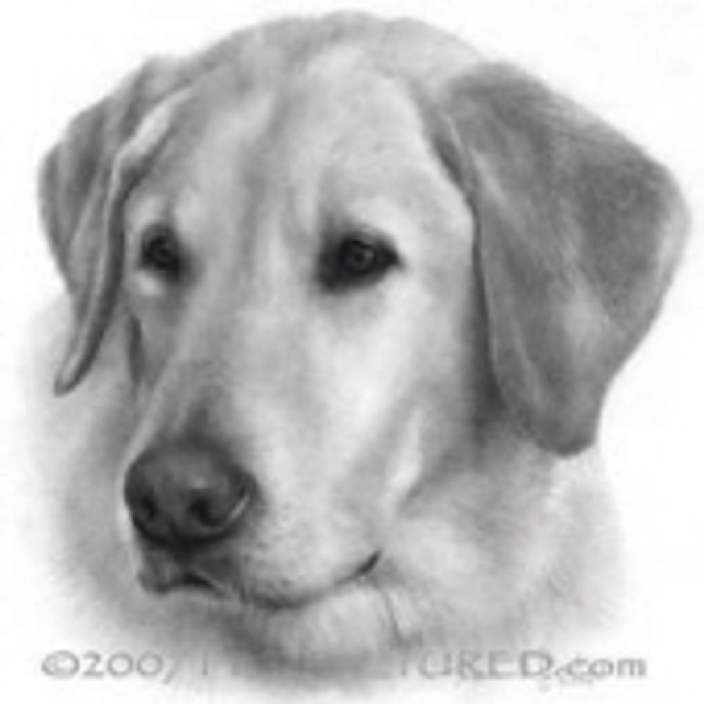 Dude Decamp Profile Photo