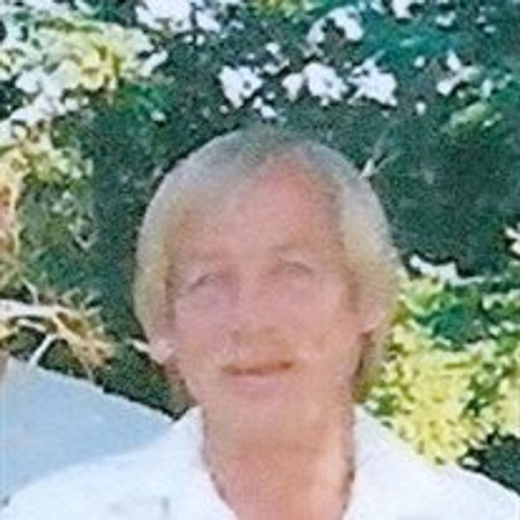 Steven  Eugene Webster