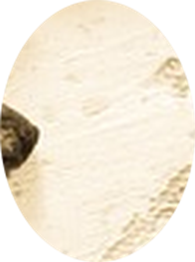 Vauna Thorderson Profile Photo