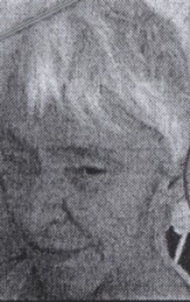 Nancy  M. Ingle