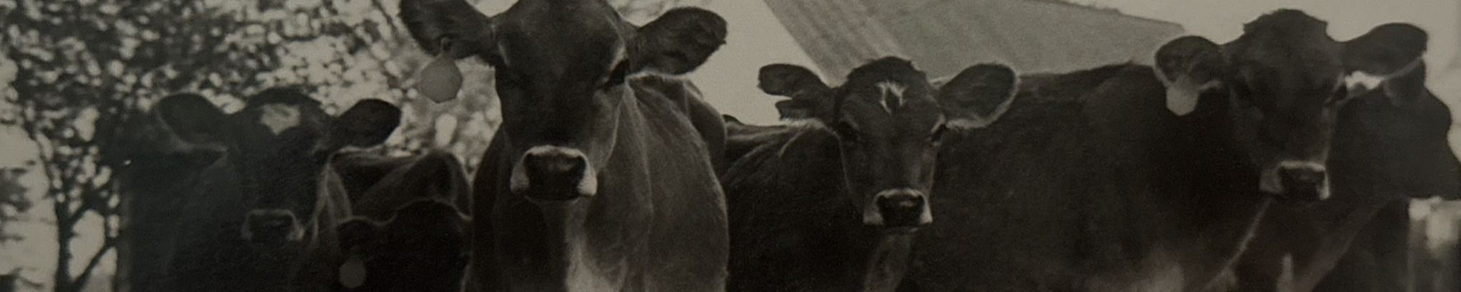 Cover for James "Jim" Lee Lentz's Obituary