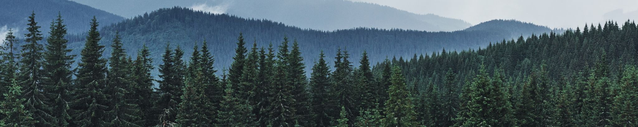 Cover photo for Gary Douglas Stamper's Obituary