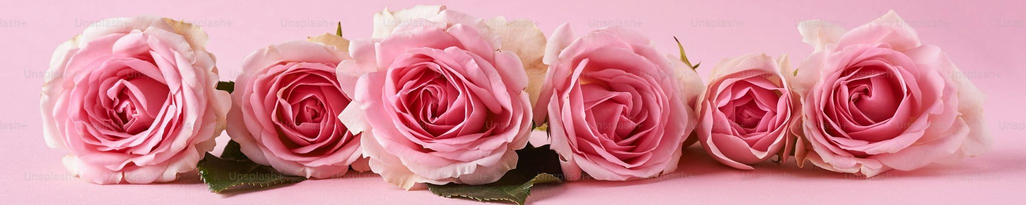 Cover for Maxine Ratterree's Obituary