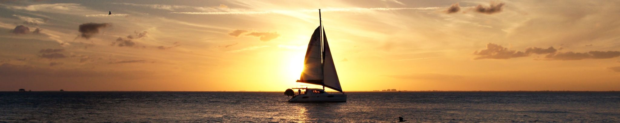 Cover for Sandra Kay Meyer's Obituary