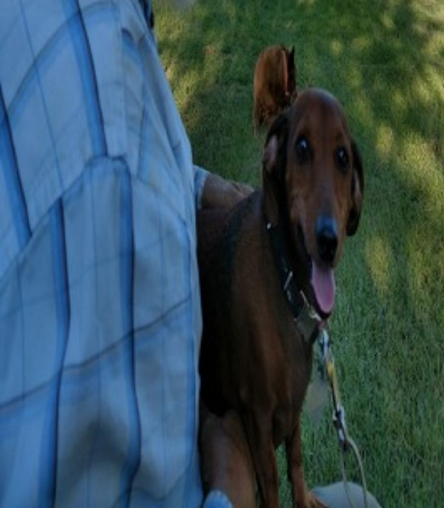 Earl Bennett Profile Photo
