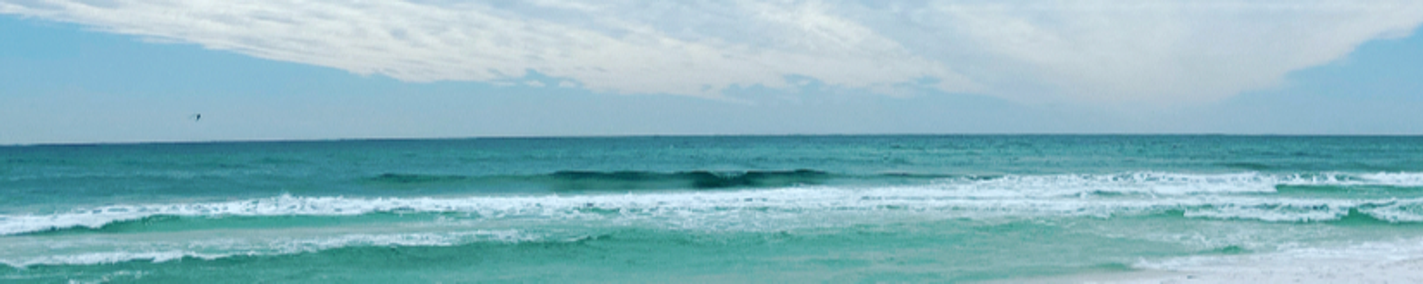 Cover for Stewart Reed's Obituary