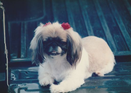 Dana L. Godfrey Baker photo gallery thumbnail 3 of 11