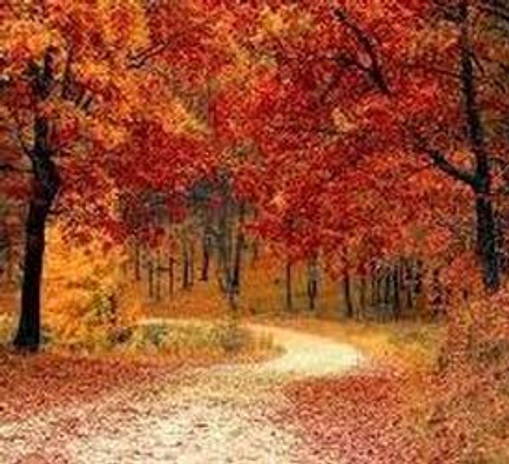 John A. Cowdrey Profile Photo