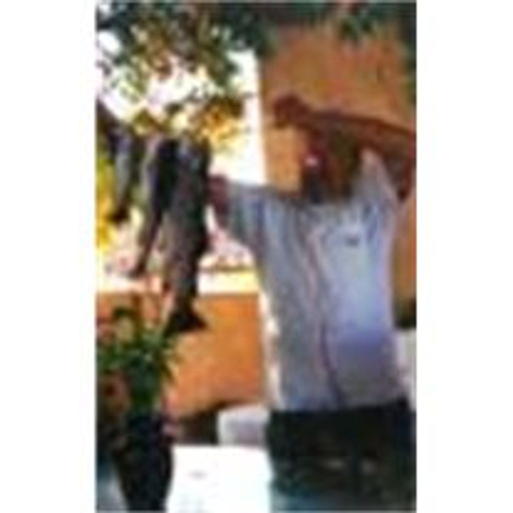 Chris A. - age 68 - Velarde Romero