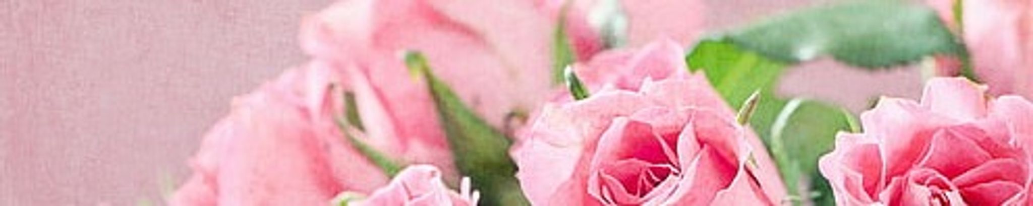 Cover photo for Darlene Hornung's Obituary