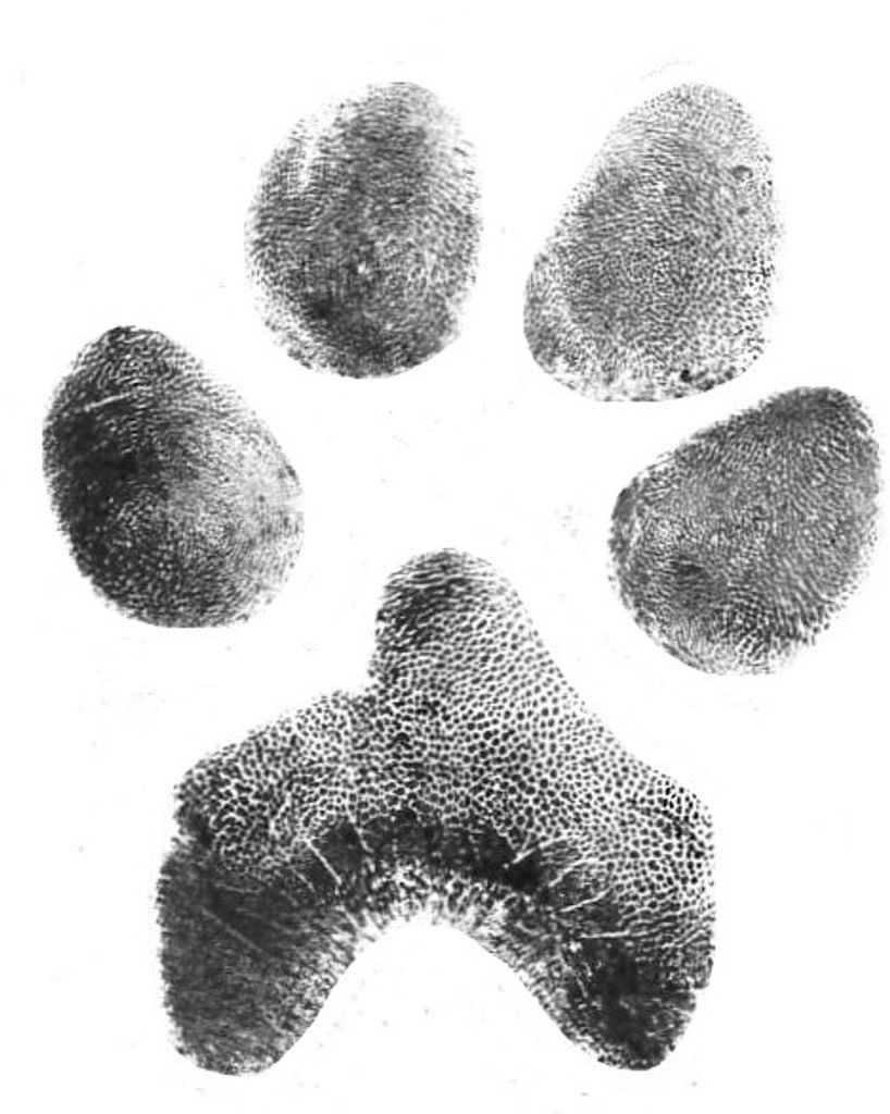 Zena Neill Profile Photo