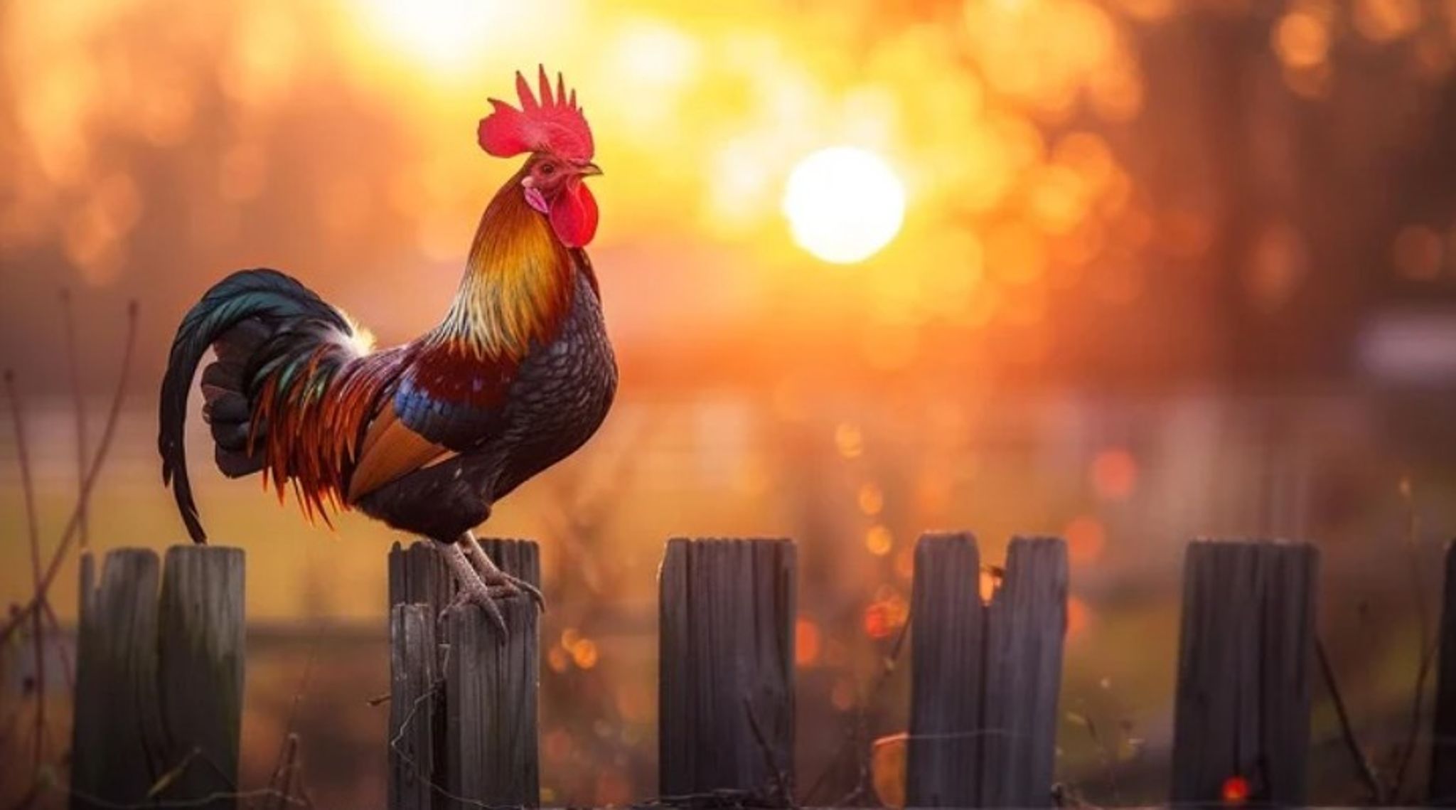 Cover for Gaspar Ortega Verdecia's Obituary