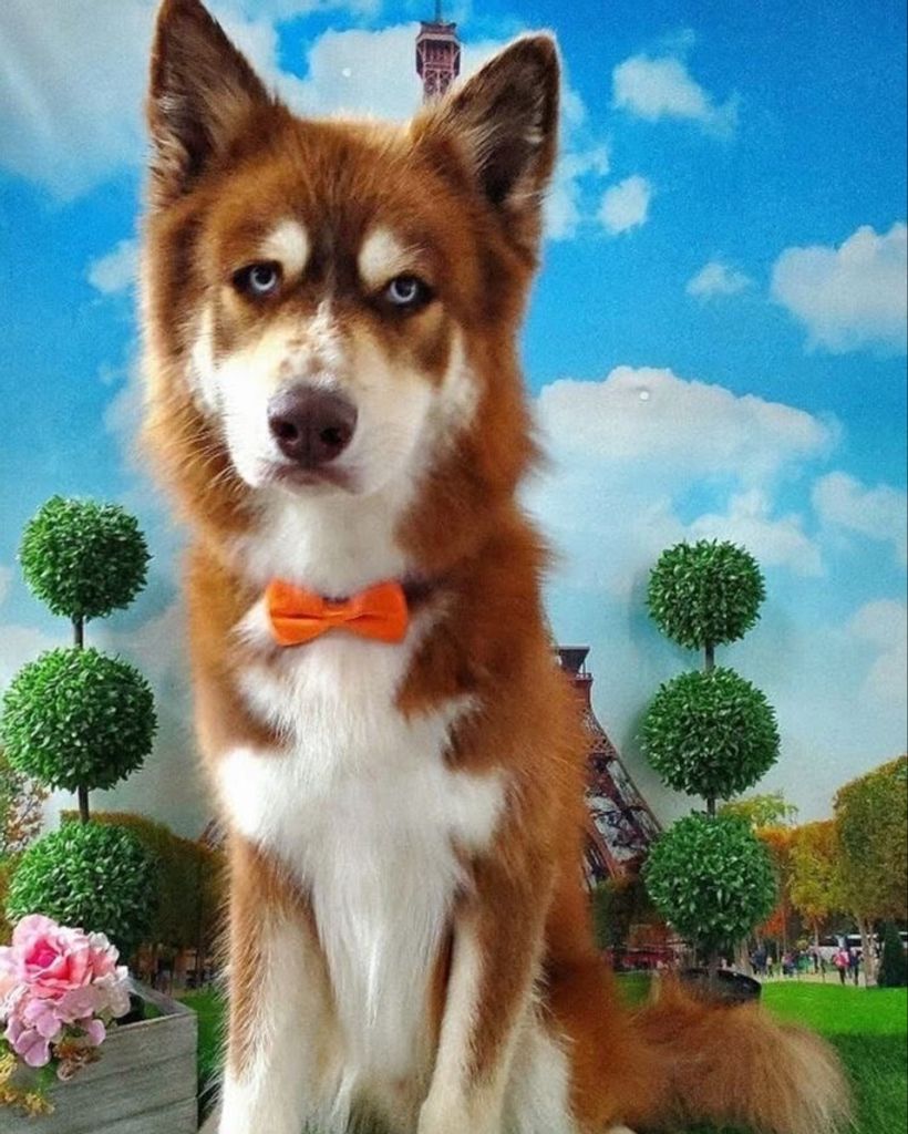 Klaus ♥ Profile Photo