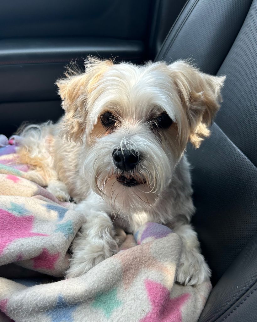 Milton "Brewer" Stromberg