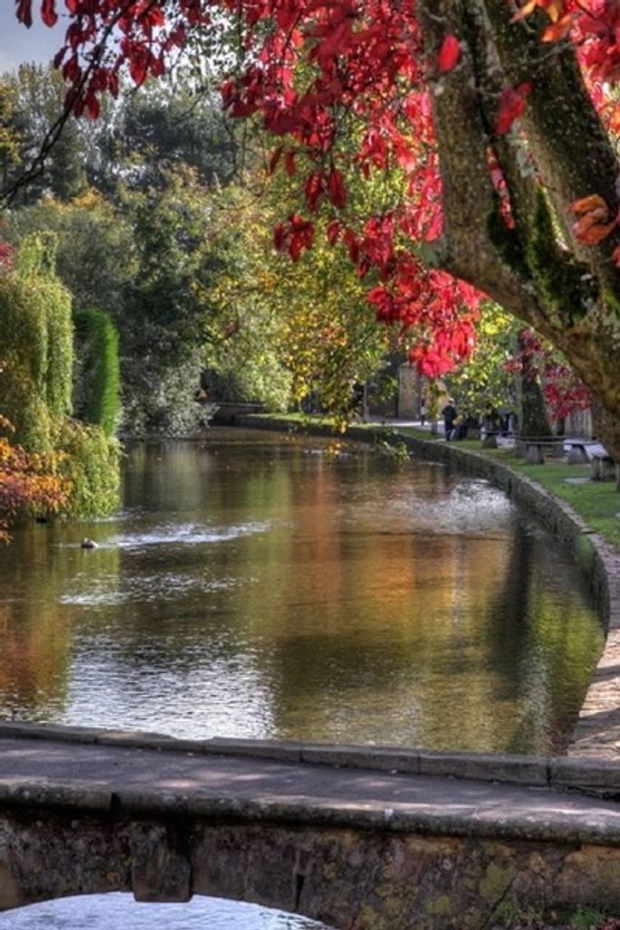 Dennis B. Ellithorpe