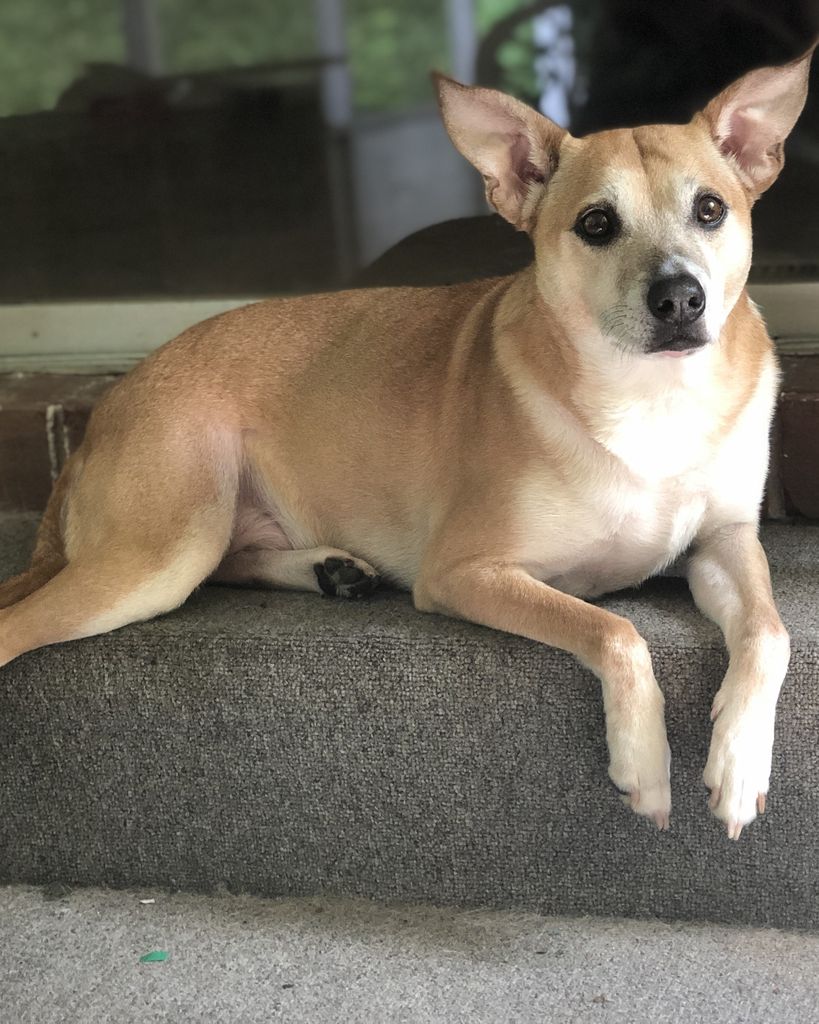 Jack Homer Allen Profile Photo