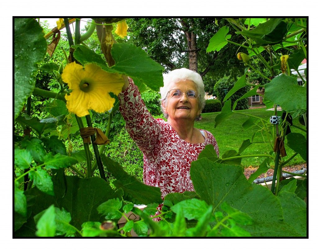 Rose  Marie Fredrickson