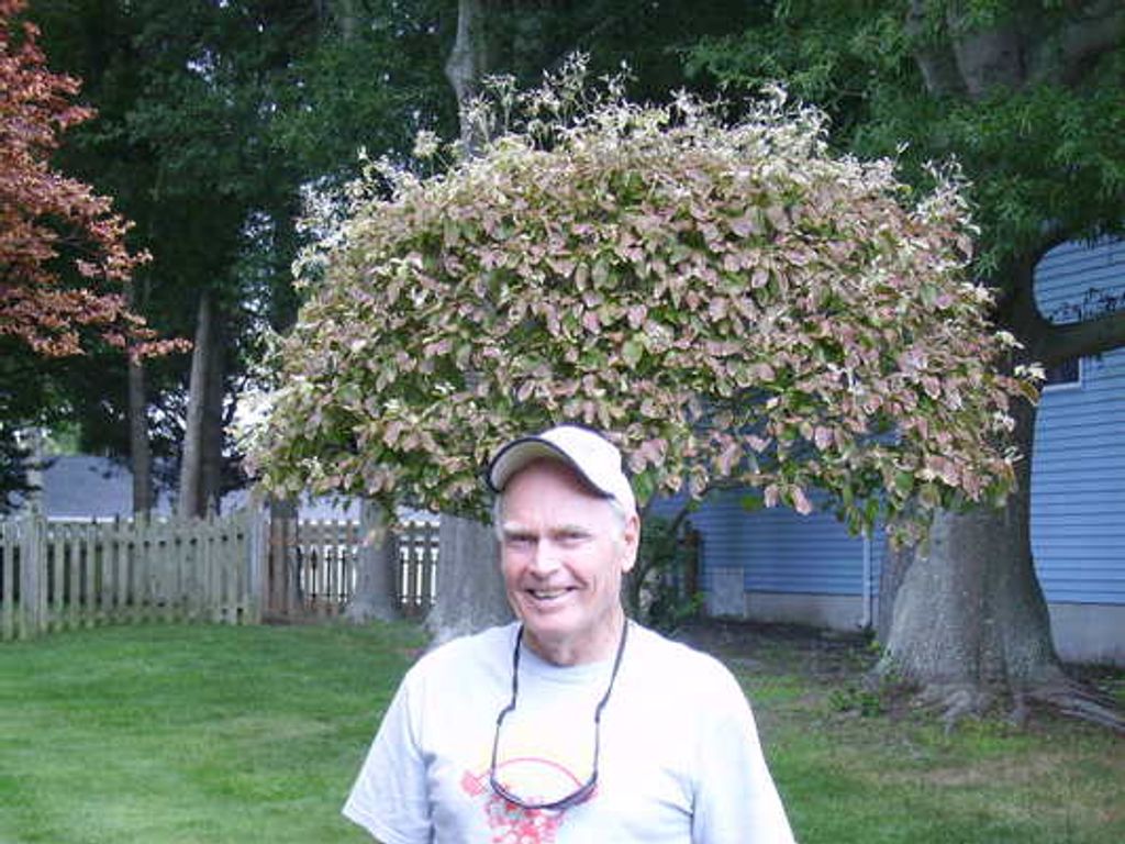 Walter G. "Bud" Schaefer Profile Photo