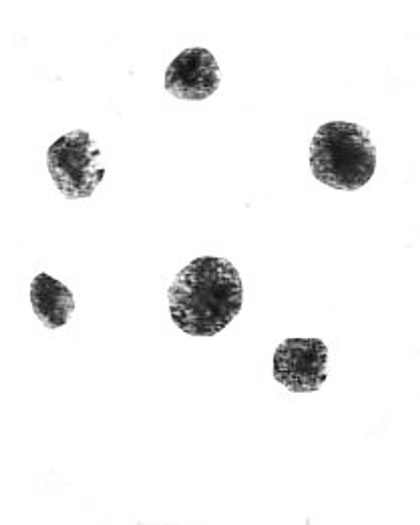 Slim Shady Kearney Profile Photo