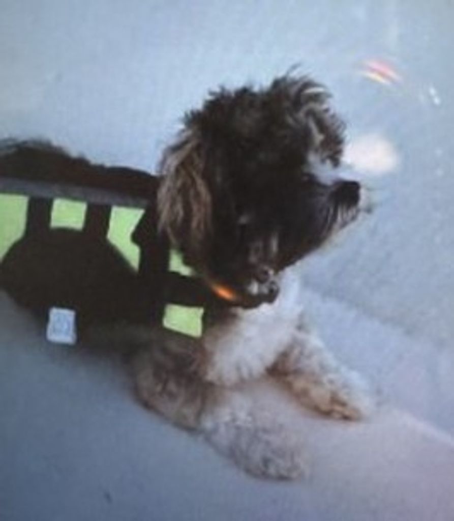 Bentley Williams Profile Photo