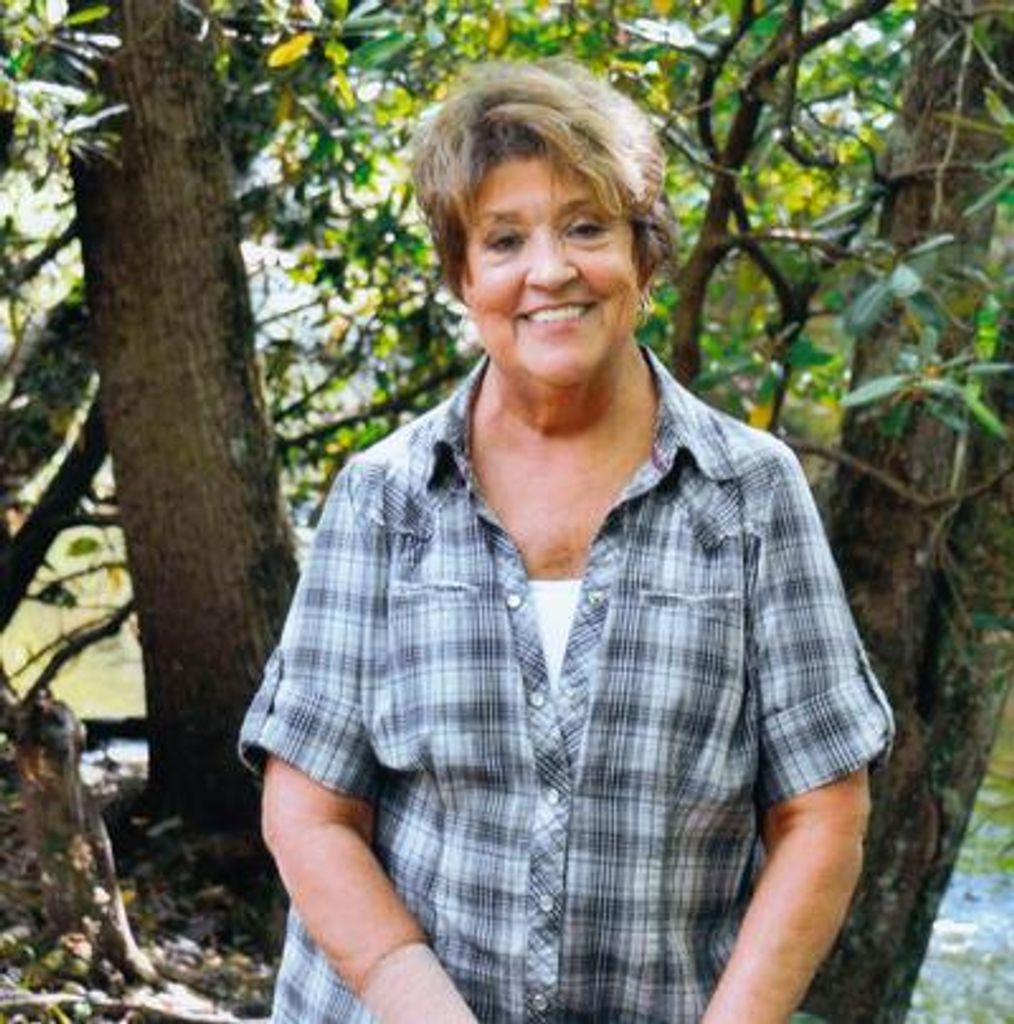 Judy Zimmerman Dillard Profile Photo