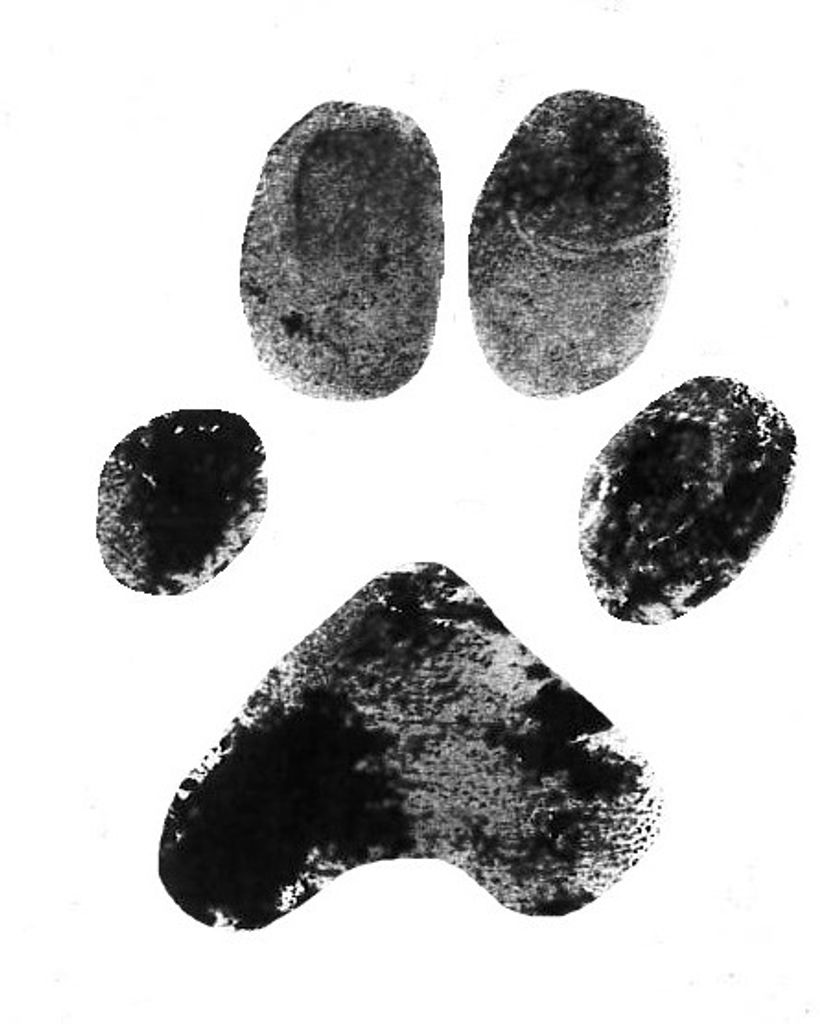 Fiona Moss Profile Photo