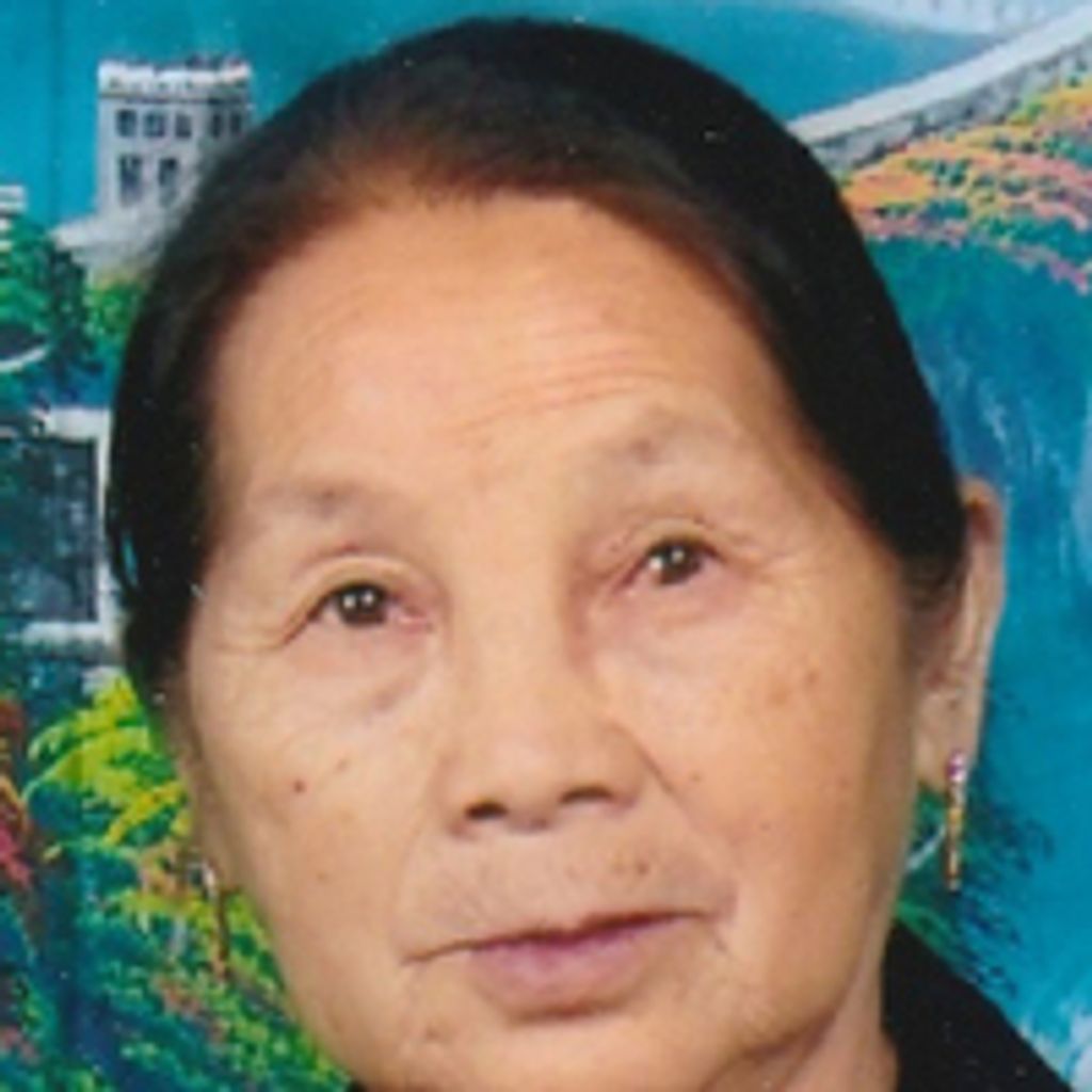 Mi Vang Lee